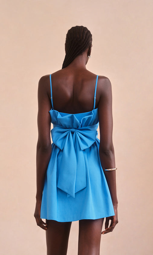 Aleah Dress