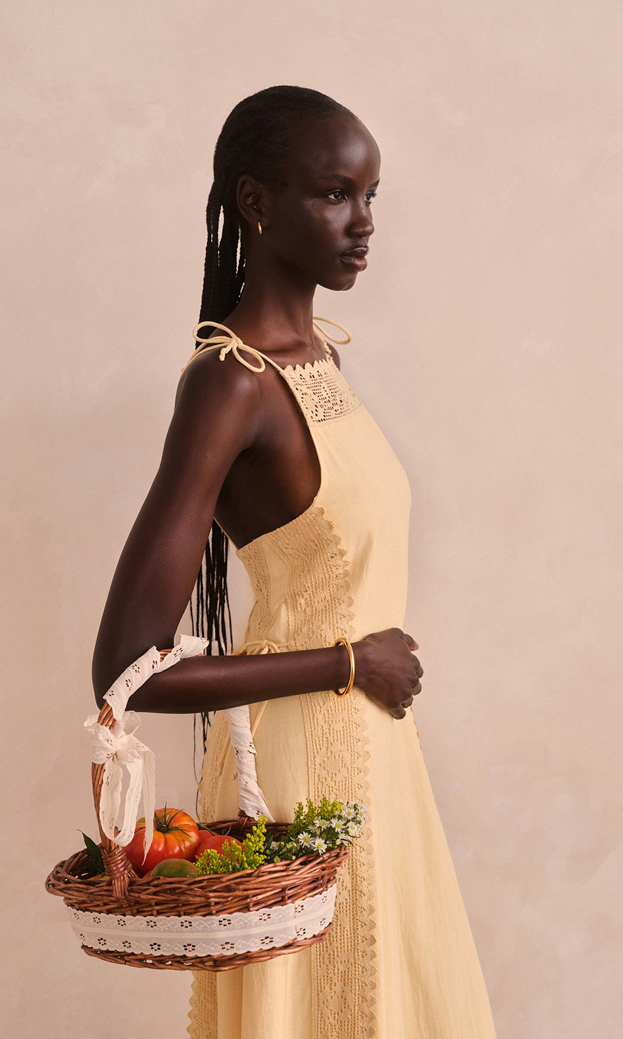Lysandra Dress