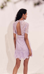 Darian Dress